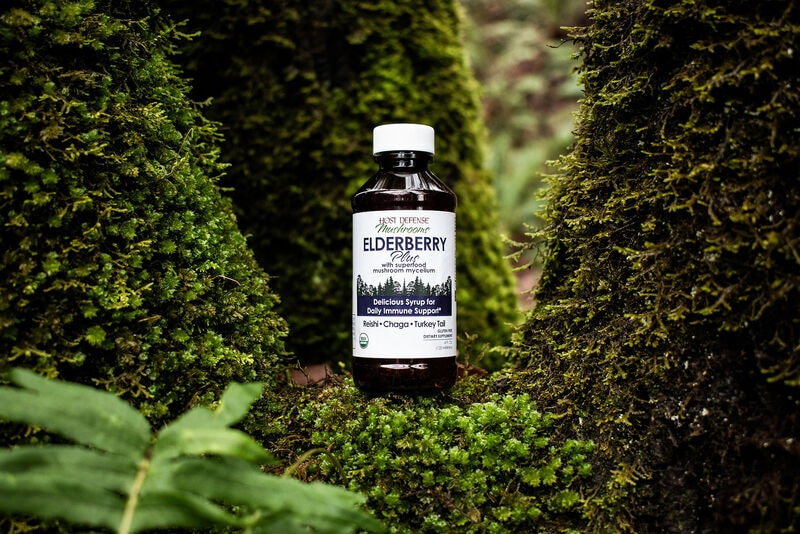 Mushroom-Elderberry Syrups