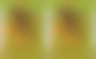 Fiery Lime Tortilla Chips