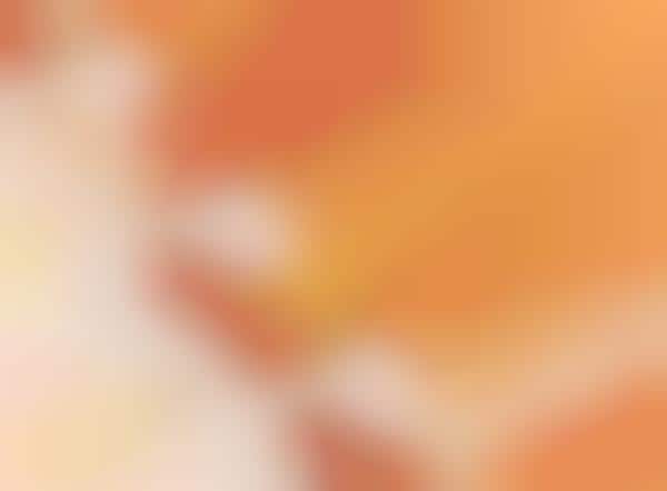 Pumpkin Spice Skincare Brands