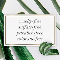 Sulfate-Free Aloe Hair Lines Image 4