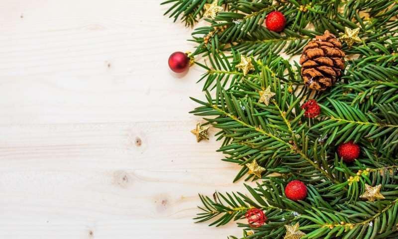 Pine Needle Food Sweeteners