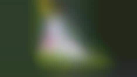 Soothing Sneaker Videos