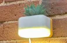 Soothing Succulent-Holding Lights