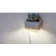 Soothing Succulent-Holding Lights Image 4