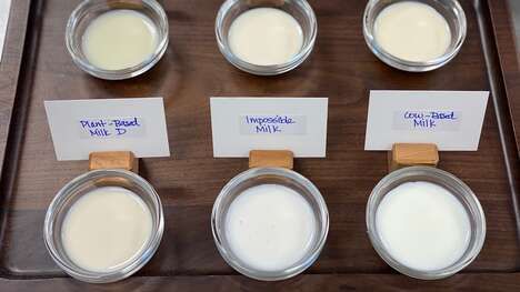 Dairy-Mimicking Milk Alternatives