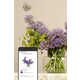 AI-Driven Online Floral Shops Image 2