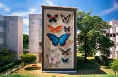 Butterfly Display Case Murals