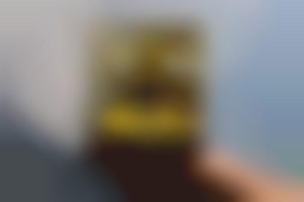 National Park-Inspired Cameras