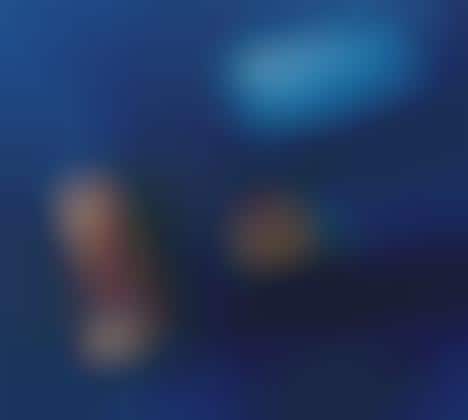 Exclusive Beauty Collections