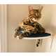 Upcycled Furniture Cat Perches Image 5