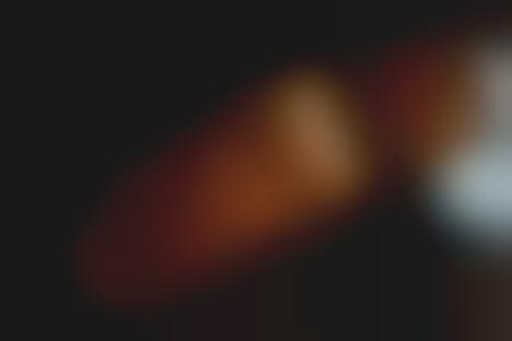 Naturally-Fermented Artisanal Toasts