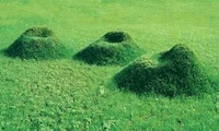 Grass Upholstery Image 8