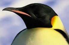 Penguin Poo Pursuits