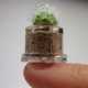 39 Small-Space Garden Innovations Image 1