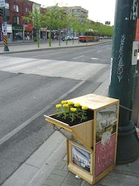 Flowering Flyer Boxes Image 5