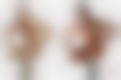 Parodied Nudevertising