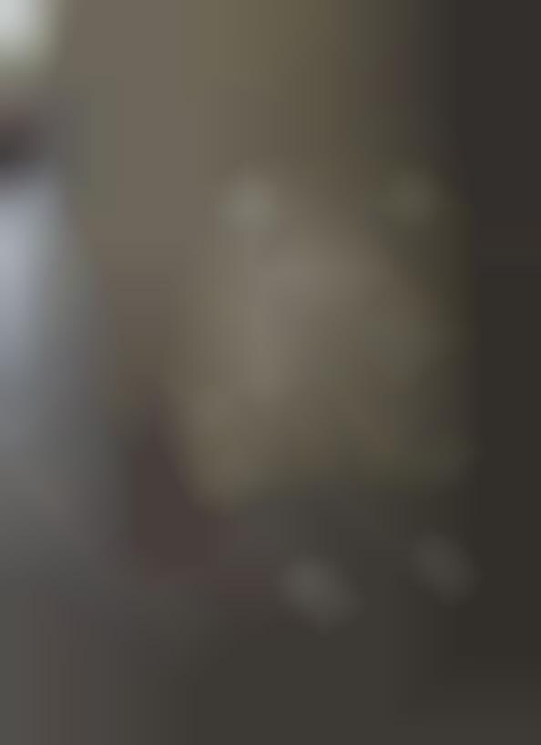 Suggestive Street Signs