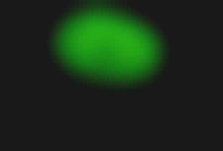 Glow-in-the-Dark Mushrooms