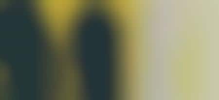 Ambiguous Shadow Portraits