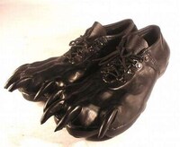 Paw Shoes
