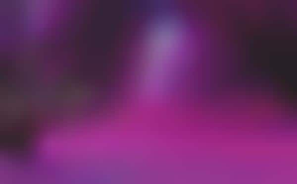 Fuchsia Landscapes