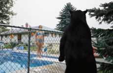 Taxidermy Photography