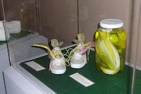 Pickled Kicks Image 4