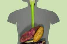 Vegetable Organs