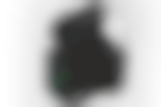 Feature Fused Cameras
