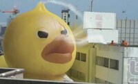 Killer Rubber Ducks