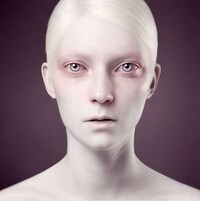 Porcelain Zombie Pics Image 3