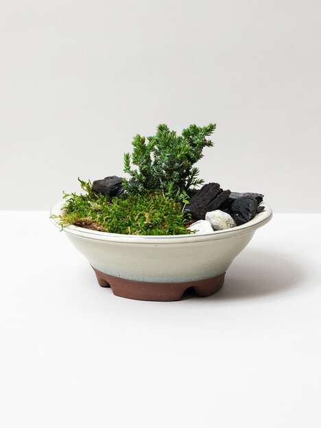 Portable Tree Planting Kits