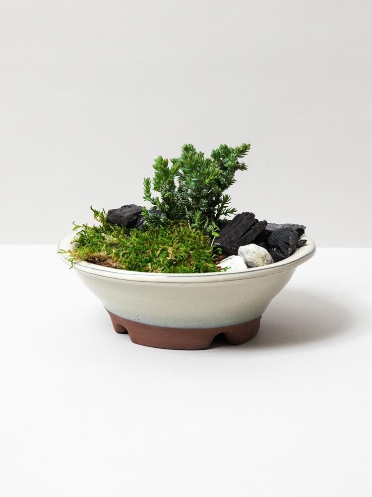 Portable Tree Planting Kits