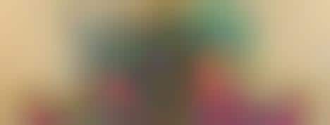 Organic Authentic Tortilla Chips