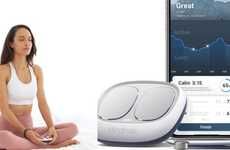 Handheld Wellness Guidance Devices