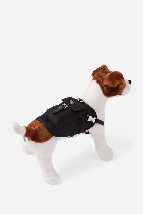 Edgy Designer Dog Jackets