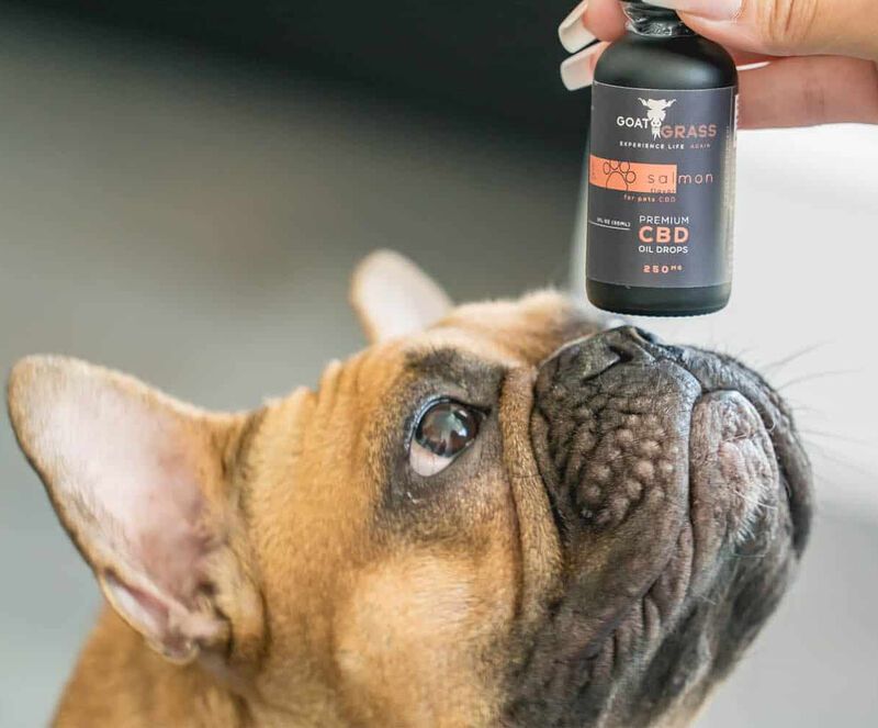 Meat-Flavored CBD Oils