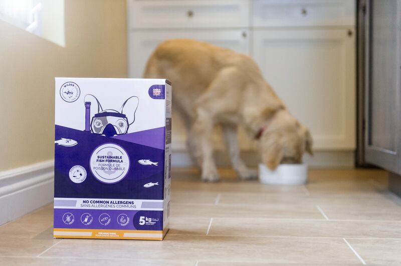 Fish-Based Dog Foods
