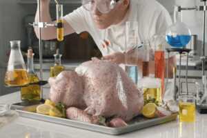 Turkey Insurance Plans