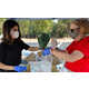 Local Farmer's Market Deliveries Image 1