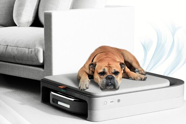 pet care robot