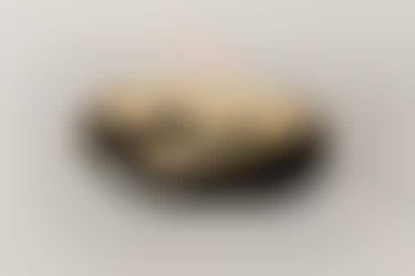 Shell-Shaped Eyeshadow Palettes