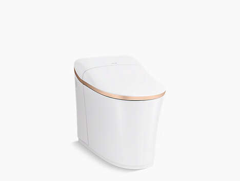 Comfort-Focused Customizable Toilets