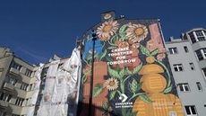 Pollution-Absorbing Murals Article Thubnail