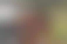 National Adoption Month Campaigns