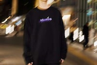 Animal-Themed Collaborative Streetwear Image 4