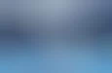 Virtual Beauty Activations