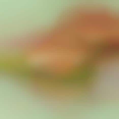 Leafy Green-Infused Burgers