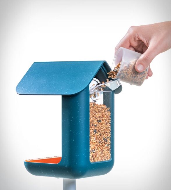 wireless bird table camera