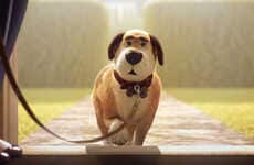 Animated Pet Nutrition Ads
